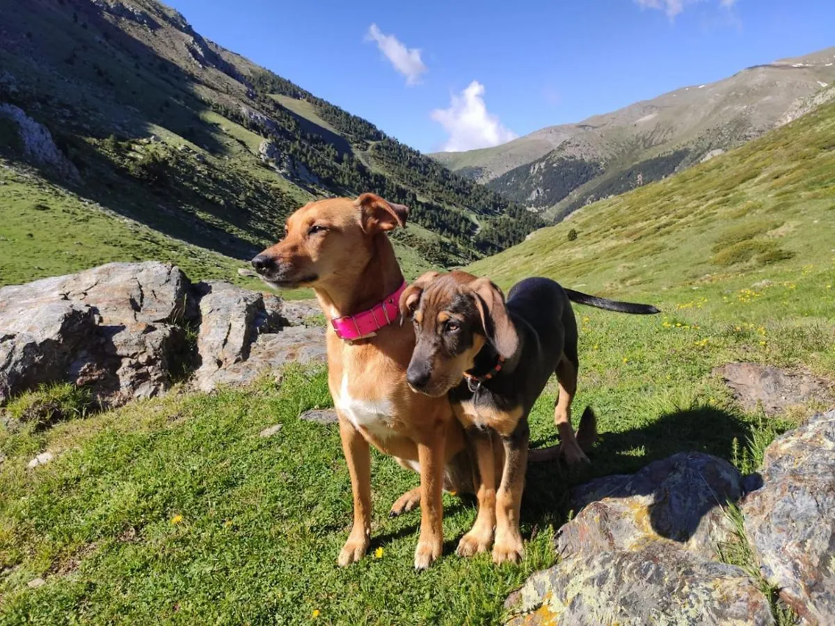 Hotel Vall De Nuria Queralbs Spanje