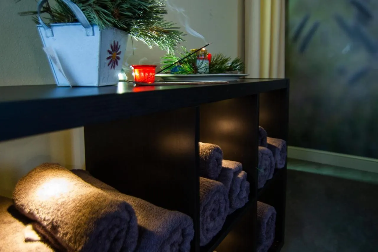 Hotel Vall De Nuria Queralbs Ισπανία